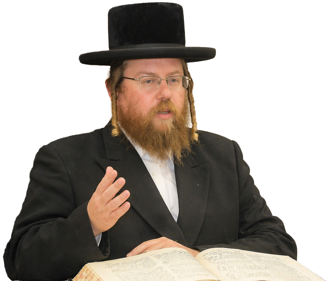 המגזר החסידי — מהרבנים המלווים את מיזם זיווג הגון